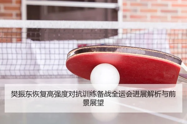 樊振东恢复高强度对抗训练备战全运会进展解析与前景展望